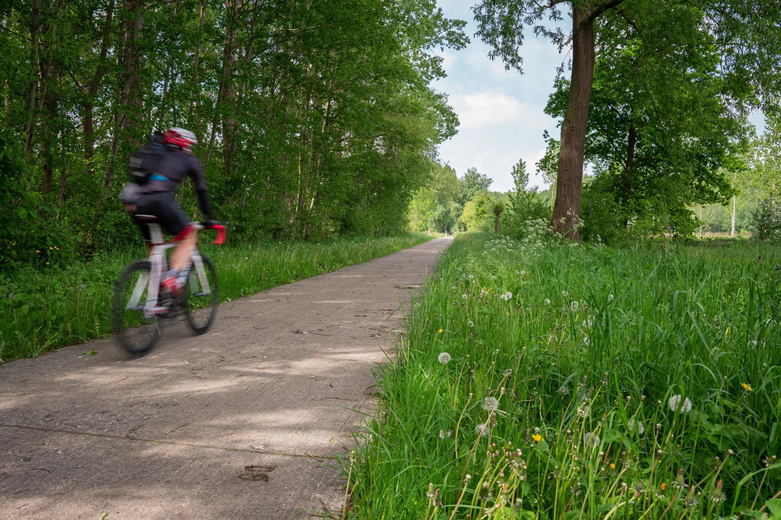 ©Regionaal Landschap Zuid-Hageland - De extra houtkanten langs het Groen Spoor zijn het resultaat van de eerste oproep houtkanten van december 2022 ©Regionaal Landschap Zuid-Hageland - De extra houtkanten langs het Groen Spoor zijn het resultaat van de eerste oproep houtkanten van december 2022