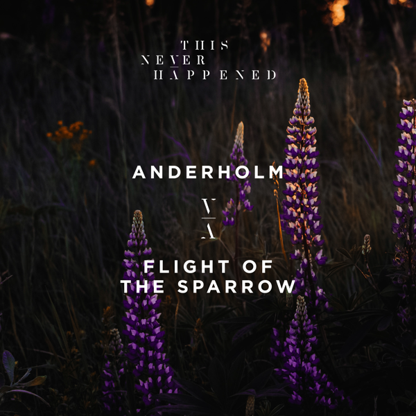 Lane 8 Signee, Anderholm, Releases Mini-Album 'Flight Of The Sparrow'
