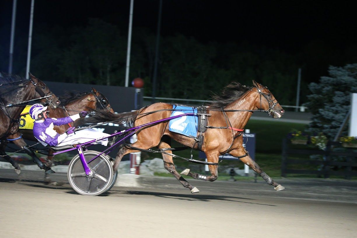 Test Of Faith winning the Roses Are Red Final at Woodbine Mohawk Park. (New Image Media)