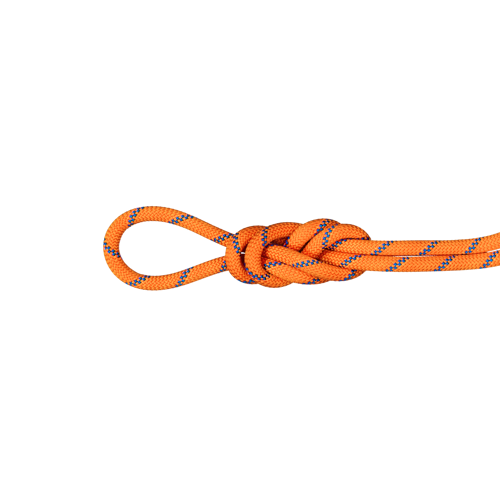 9.0 Alpine Sender Dry Rope