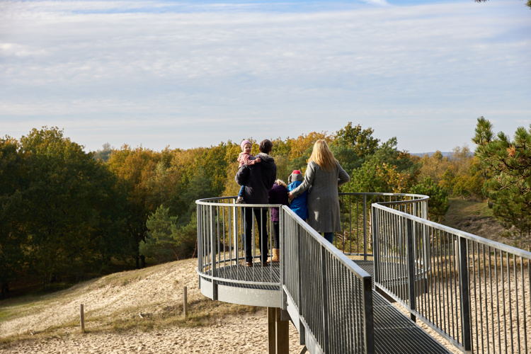 Boswachterij Westerschouwen