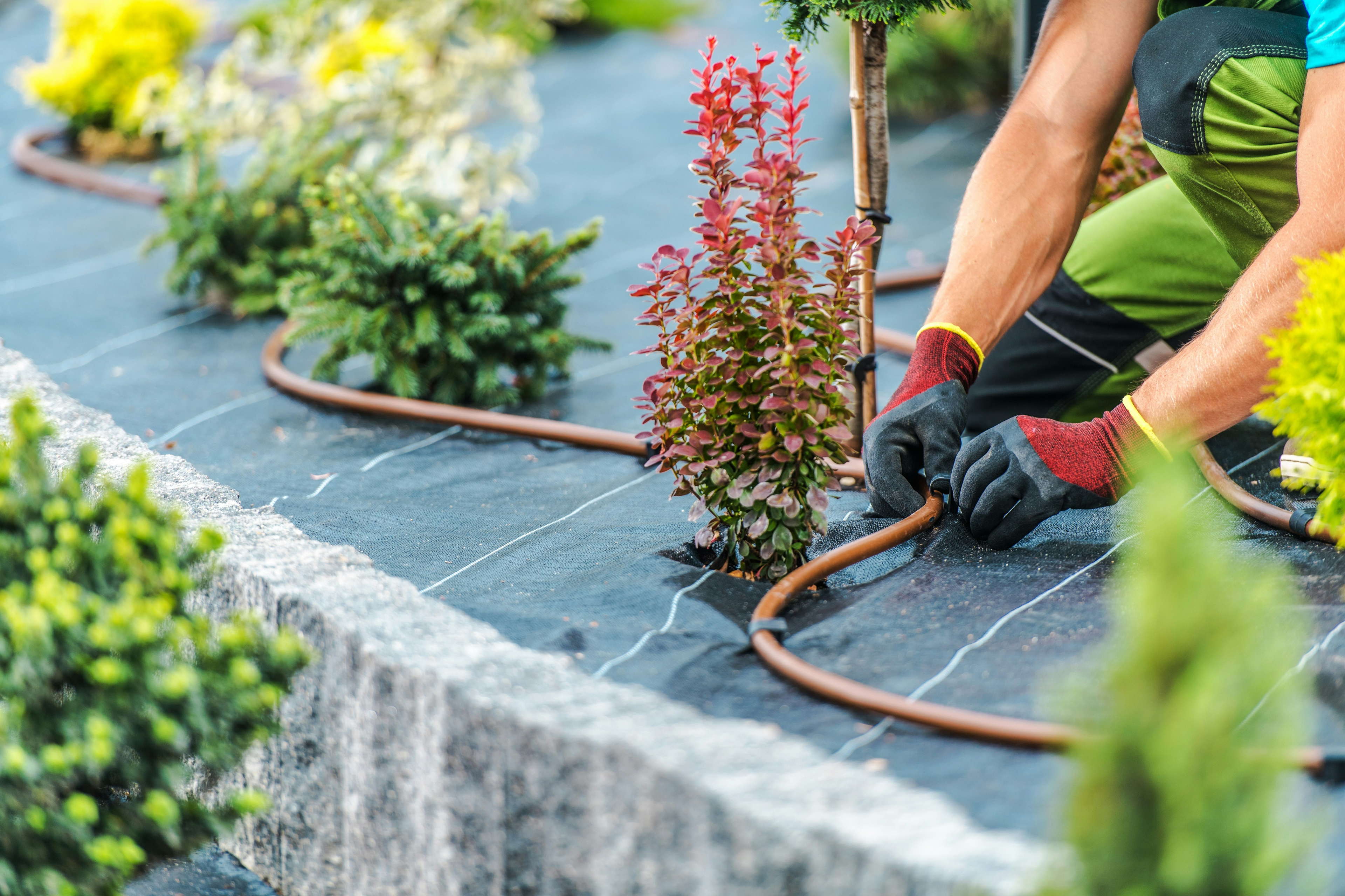Tuinonderhoud bij droogte: minder doen, maar beter nadenken