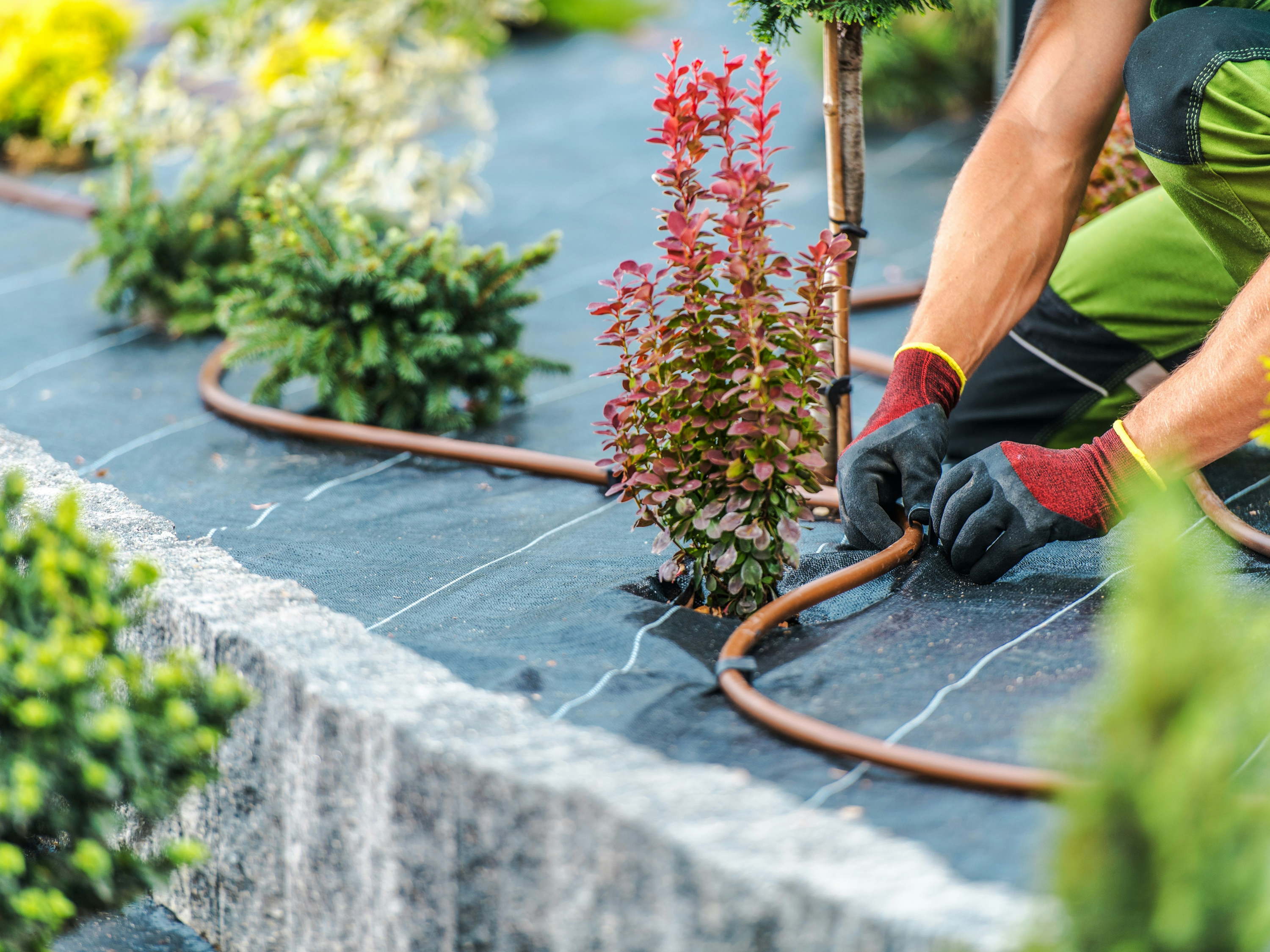 Tuinonderhoud bij droogte: minder doen, maar beter nadenken