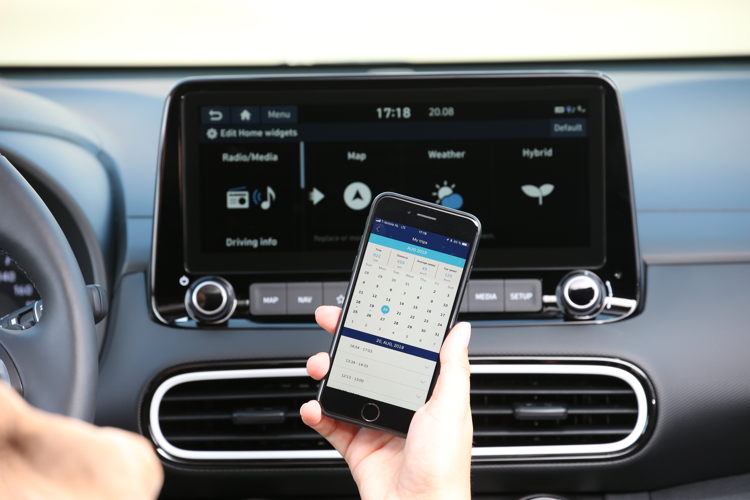 Hyundai Bluelink