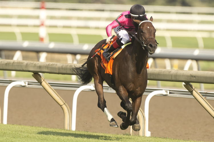 Wakanaka (IRE) winning the Dance Smartly G2 Stakes at Woodbine for jockey Rafael Hernandez. (Michael Burns Photo)