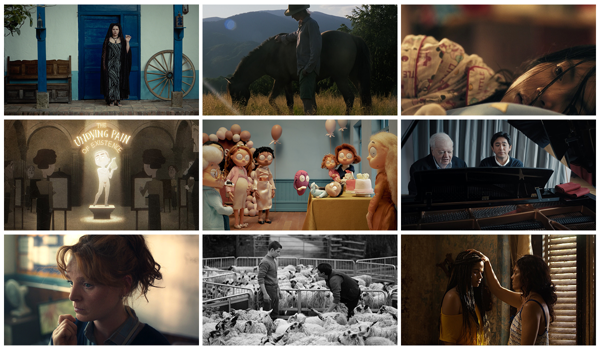 
Sony Future Filmmaker Awards: 
ogłoszono finalistów edycji 2026