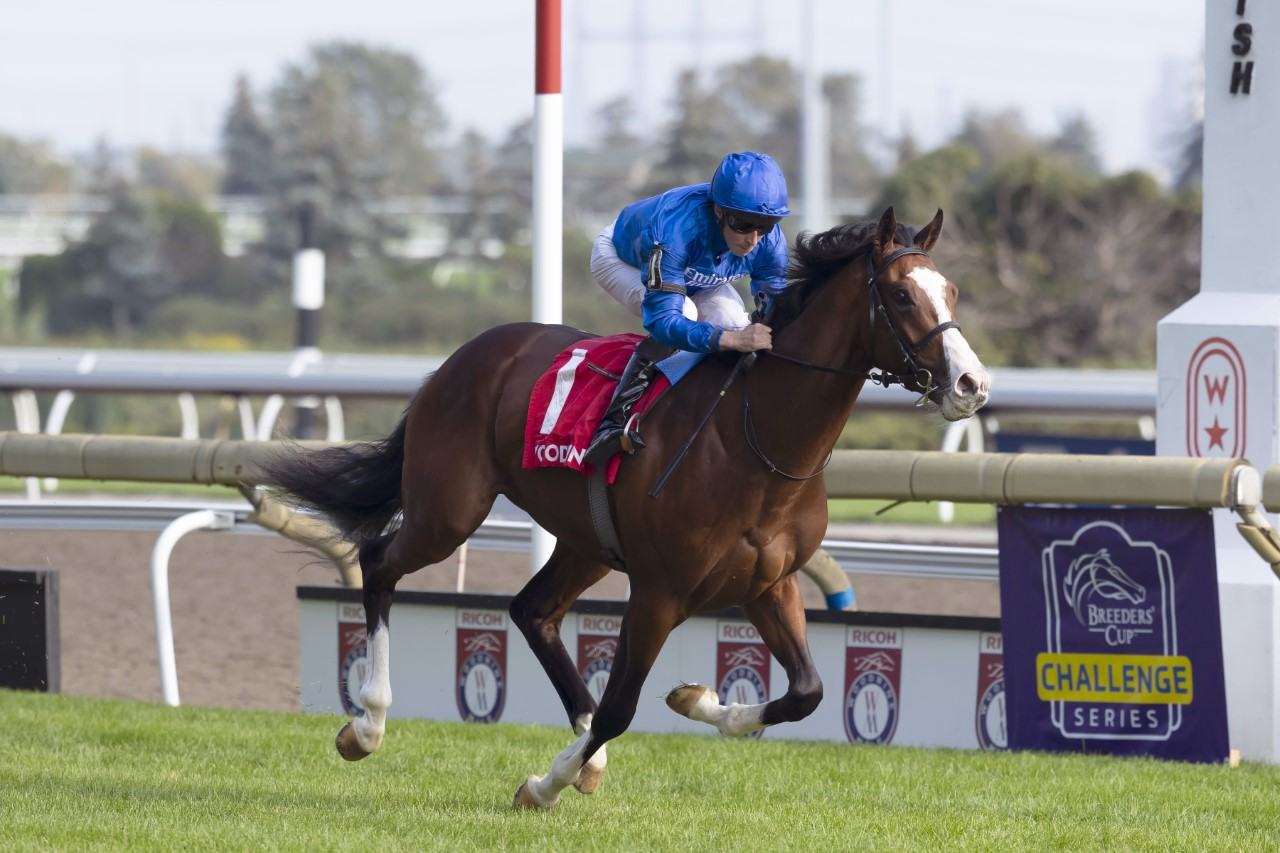 Mysterious Night (IRE) winning the Pattinson Summer Stakes on Saturday at Woodbine (Michael Burns Photo)