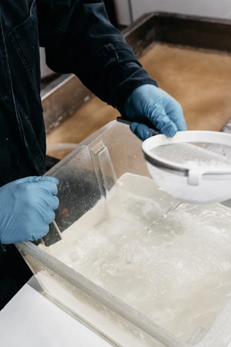 Nadat we het zout uit de pannen hebben geschept, wassen we het in koud gedestilleerd zeewater, zodat het een spierwitte kleur krijgt (Fotocredit: Puck van Elswijk fotografie) Nadat we het zout uit de pannen hebben geschept, wassen we het in koud gedestilleerd zeewater, zodat het een spierwitte kleur krijgt (Fotocredit: Puck van Elswijk fotografie)