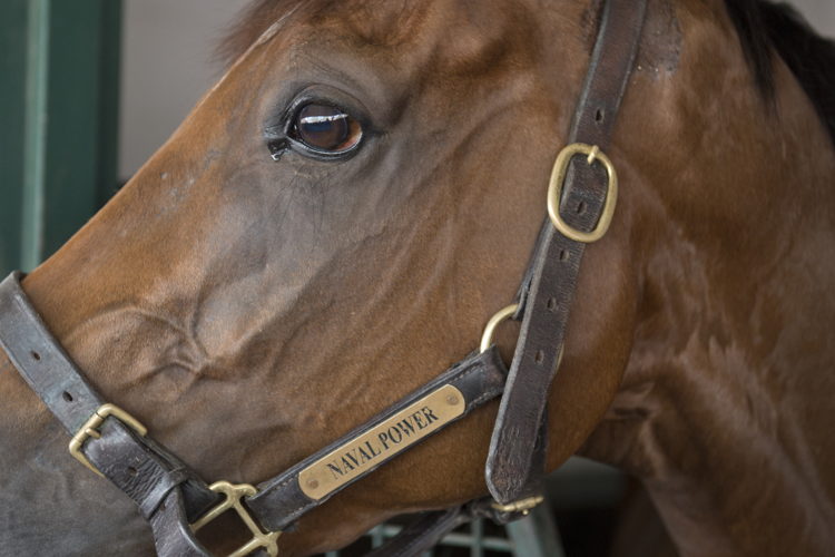 Naval Power (Michael Burns Photo)
