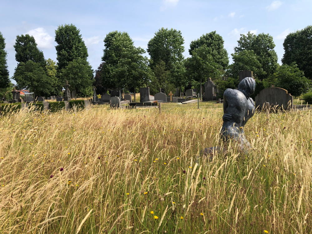 Kunst (de Vliegeraar) en natuur op de Stadsbegraafplaats. 