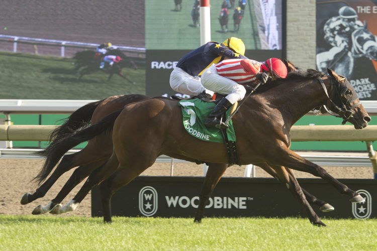 War Bomber (IRE) and jockey Rico Walcott winning the King Edward Stakes on August 19, 2023 at Woodbine (Michael Burns Photo)