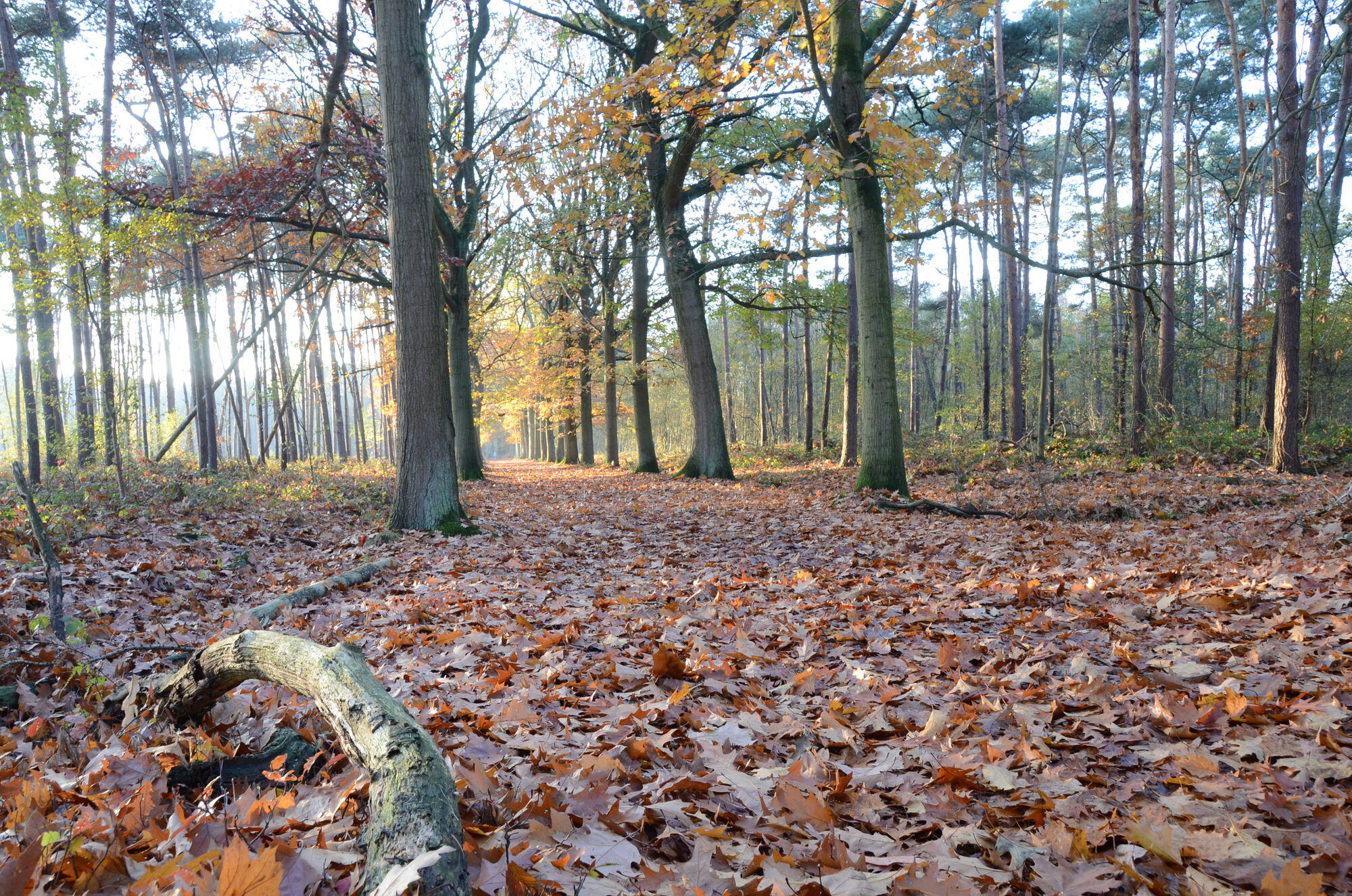 ©Vlaamse Landmaatschappij, Kyra Boelens ©Vlaamse Landmaatschappij, Kyra Boelens