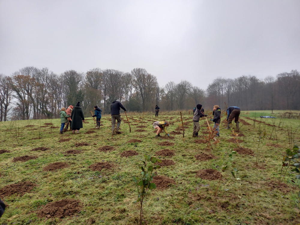 Aanplant Heynsdaele 2023