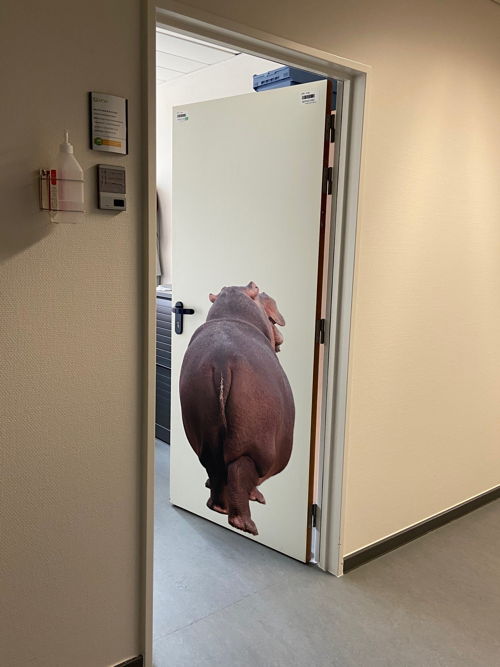 De deur naar het kabinet voor kinderen met suikerziekte. Het nijlpaard is ook de mascotte van het diabetesteam.