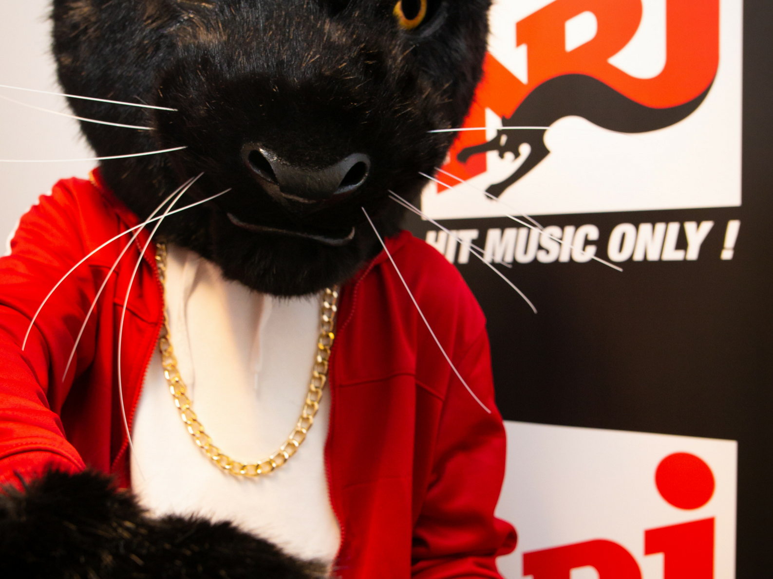 NRJ laat de panter los in Vlaanderen