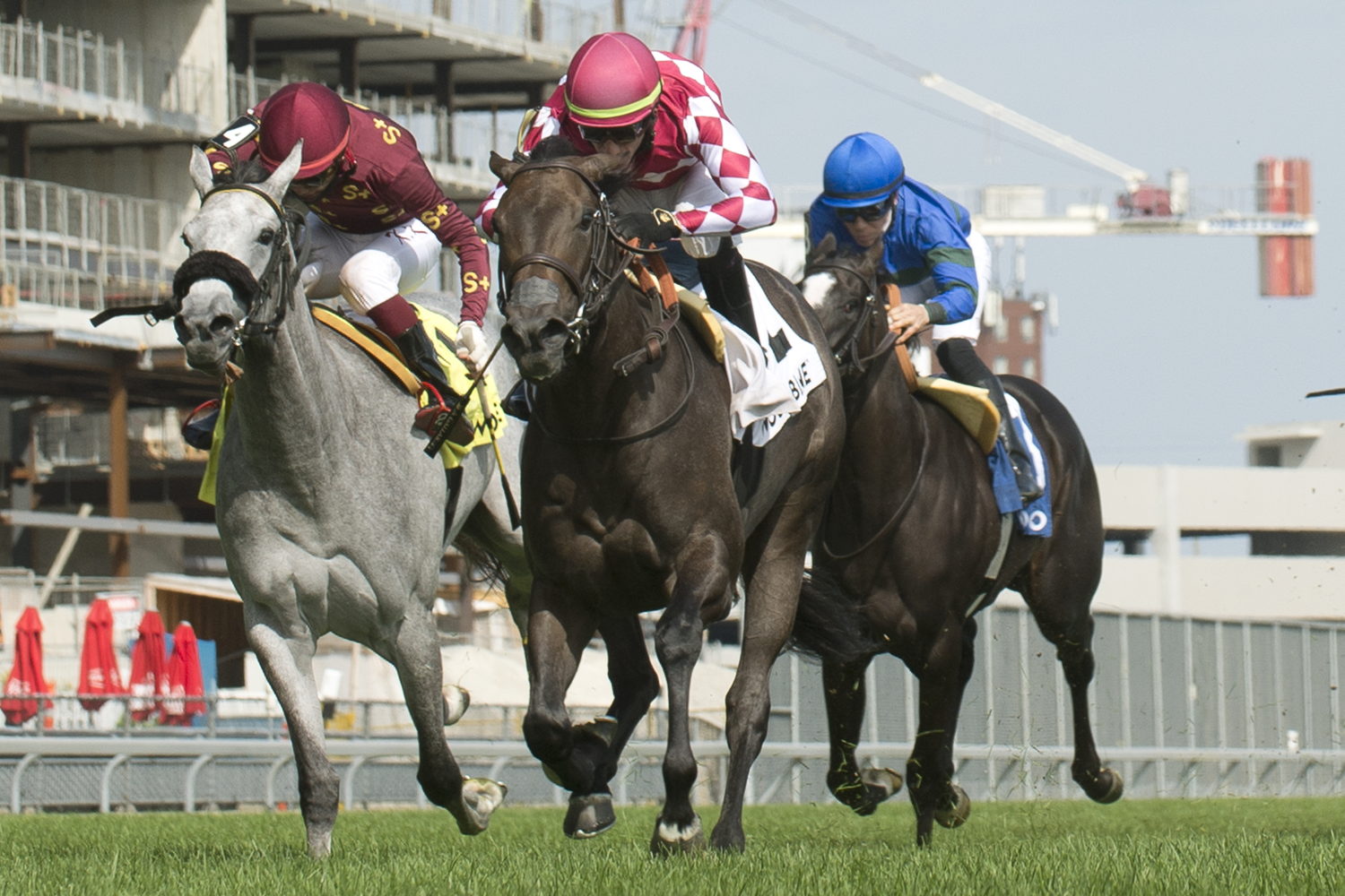 Diabolic (IRE) winning the Catch A Glimpse Stakes on  August 21, 2021 under Antonio Gallardo. (Michael Burns Photo)