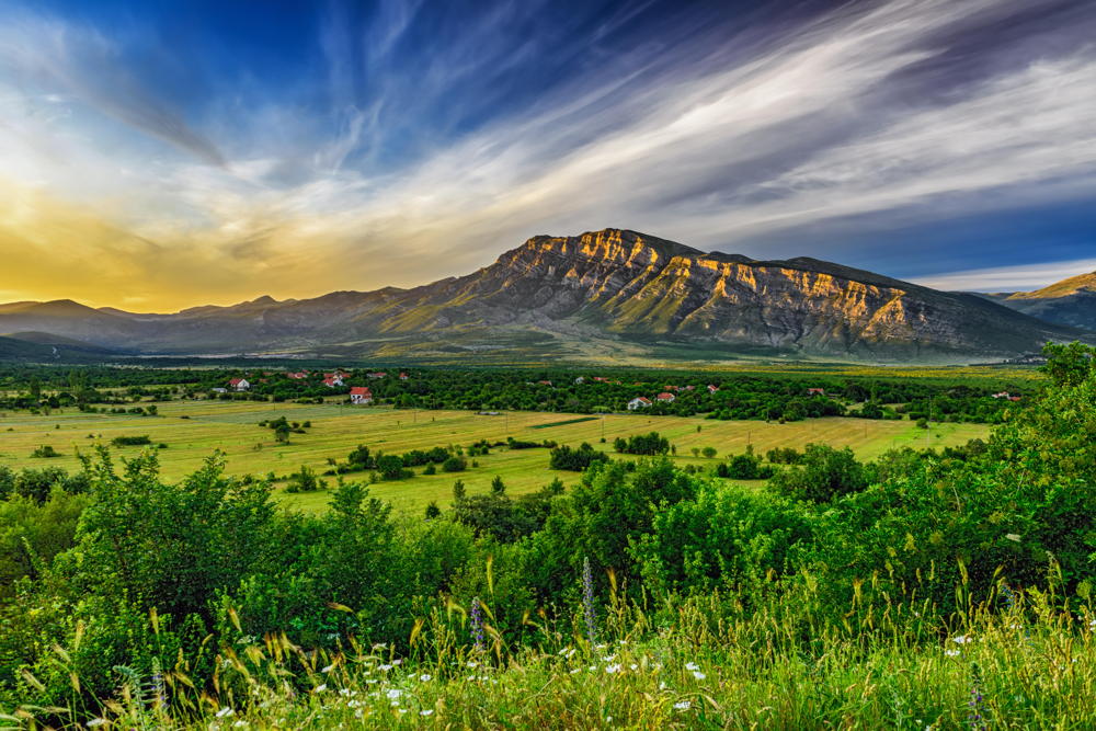 © Aleksandar Gospic