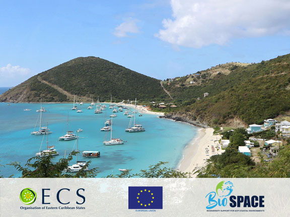 The OECS and EU-Funded BioSPACE Programme Advances Biodiversity Conservation in the Virgin Islands