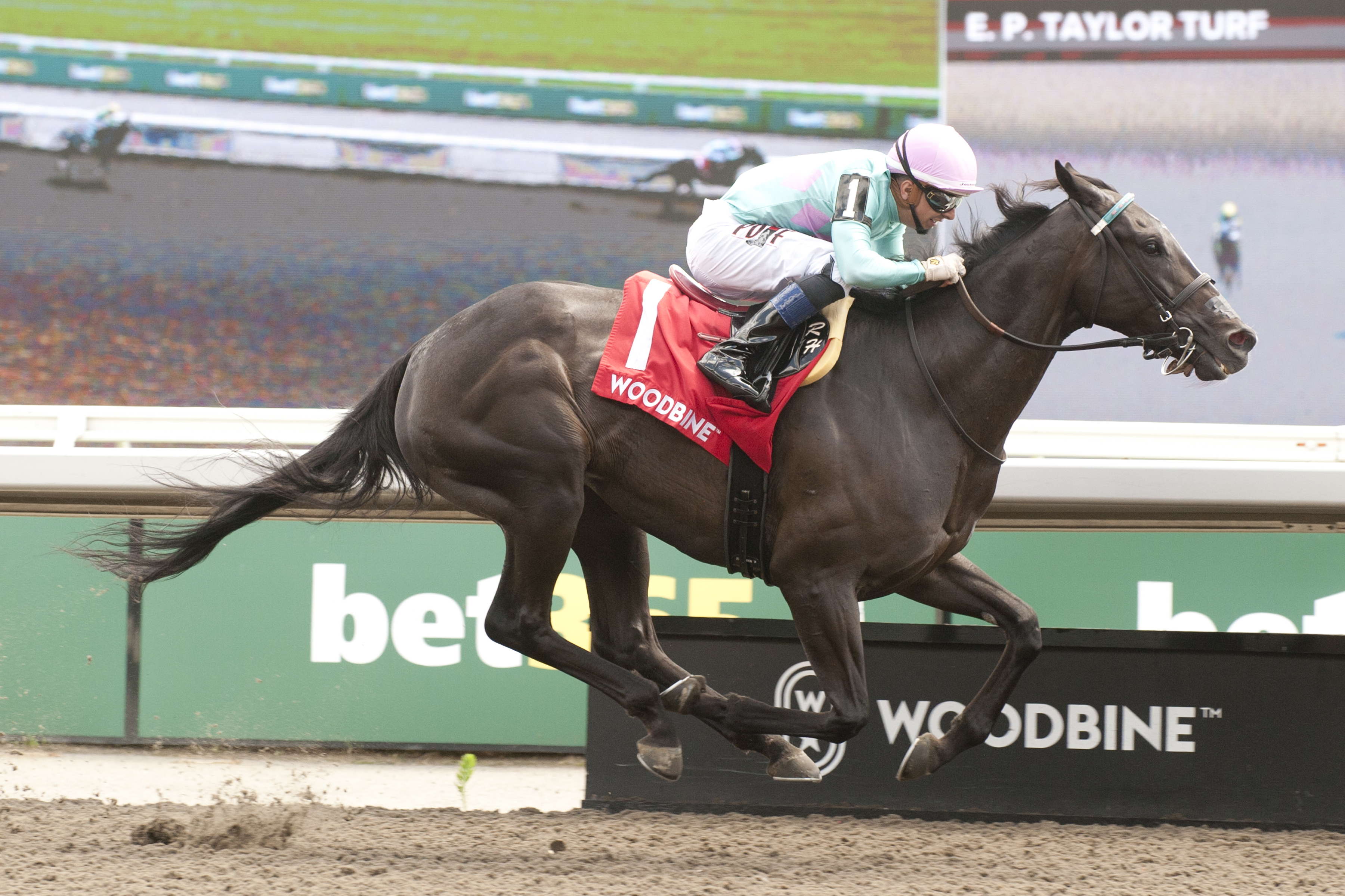 Thorn in their side: Olivia Rose rolls to easy Ballade score