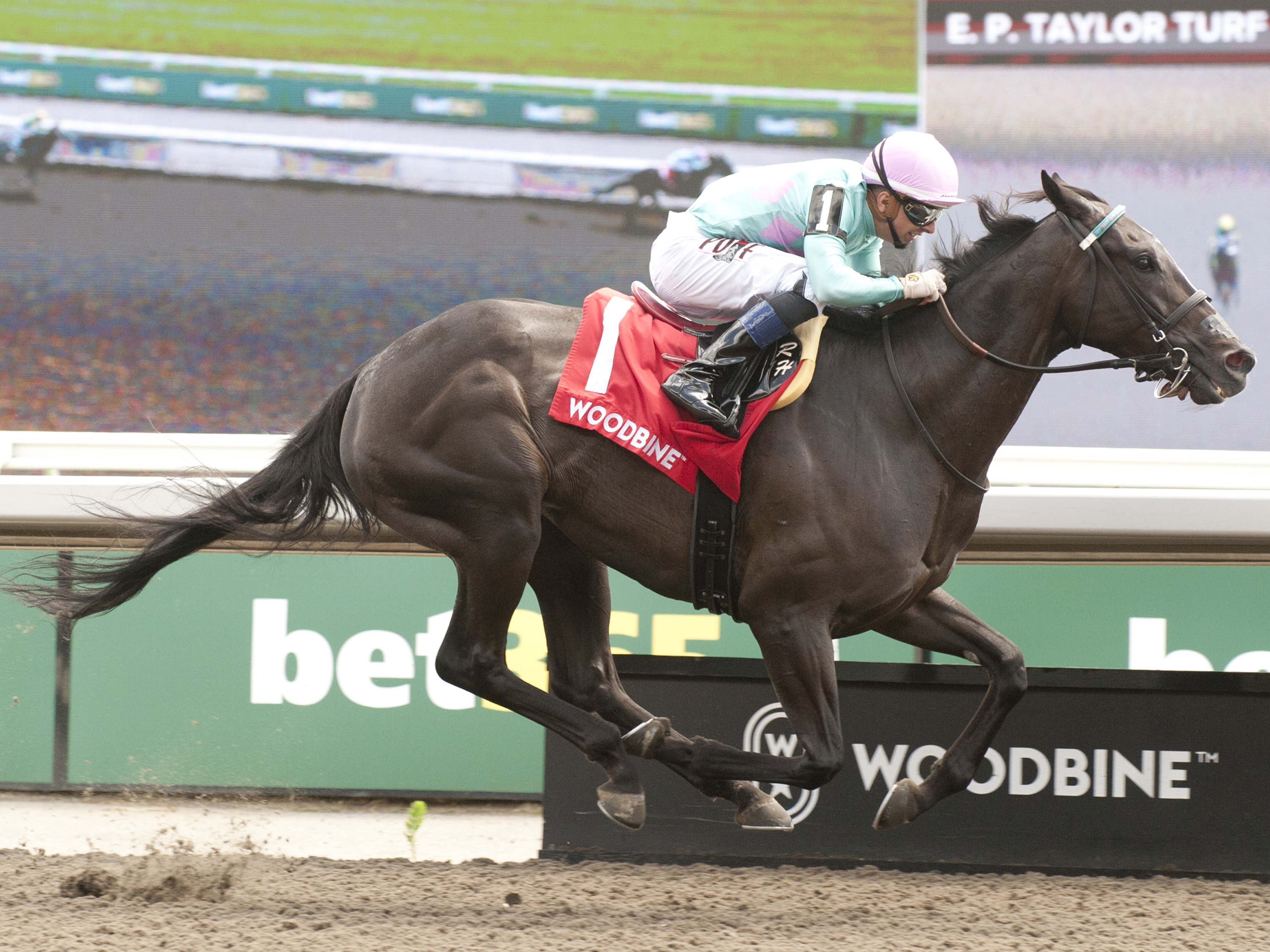 Thorn in their side: Olivia Rose rolls to easy Ballade score