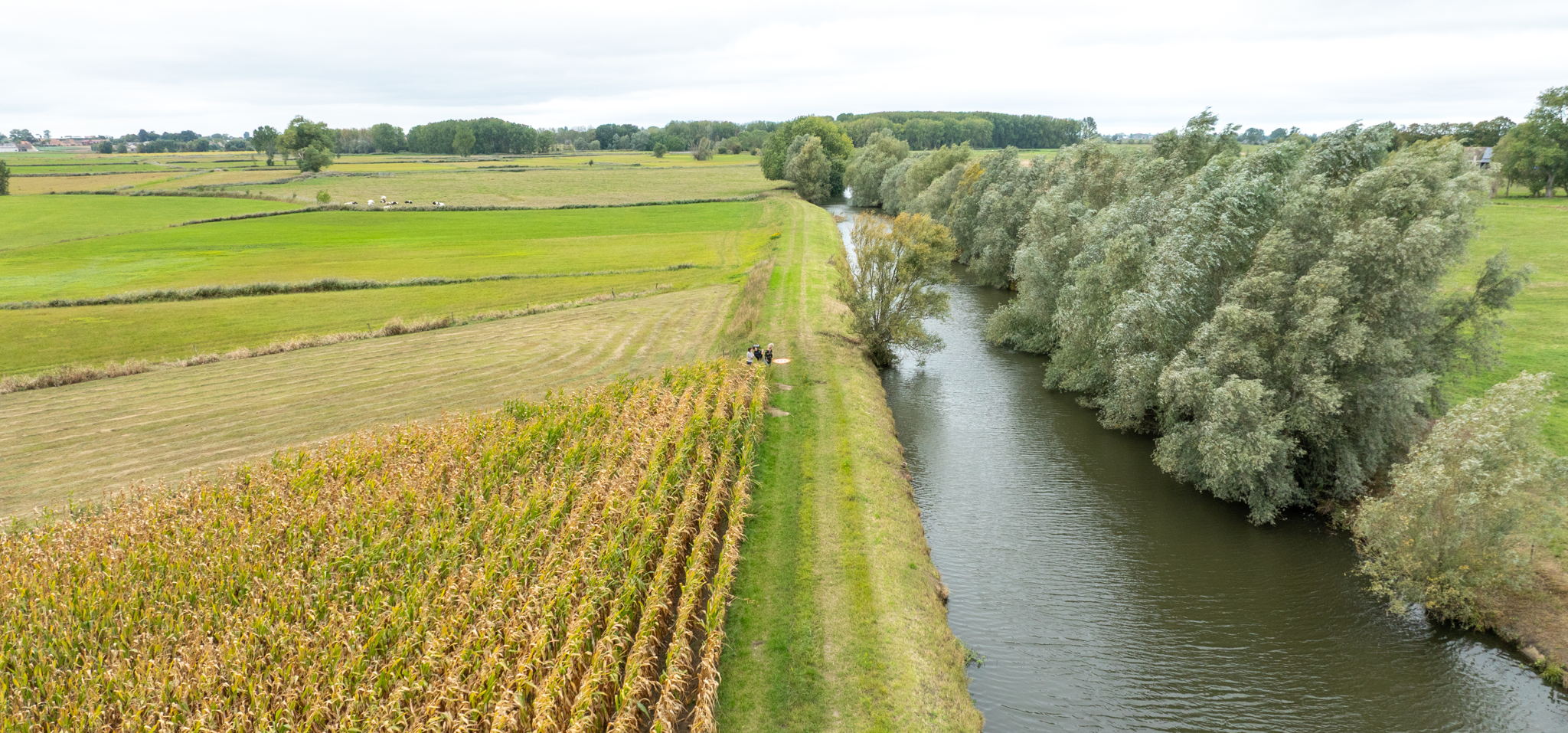 Vergeet beschermingsstroken langs waterlopen niet bij aanleg teelten