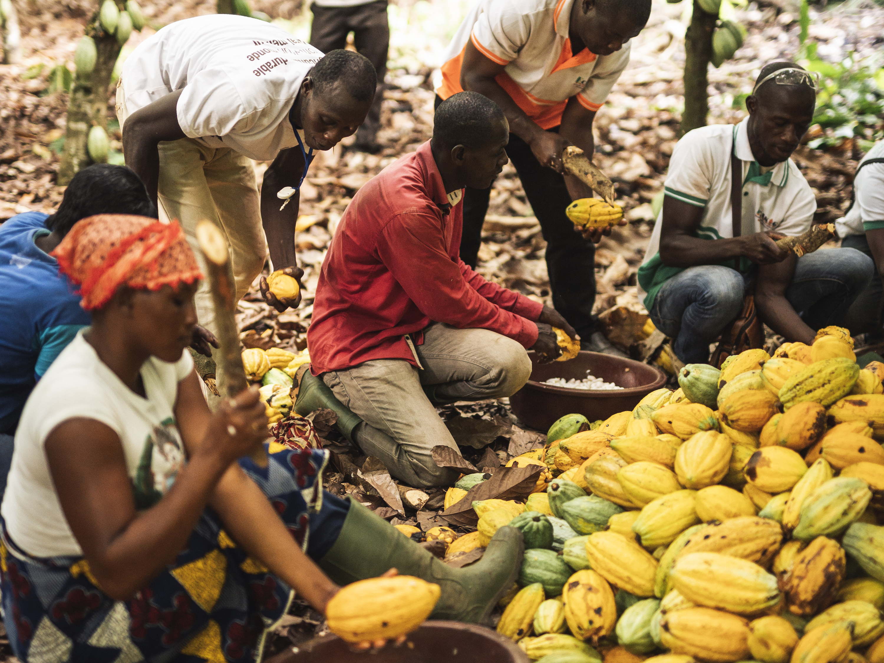 Guylian met en avant son engagement Fairtrade lors de la Semaine du commerce équitable 2024