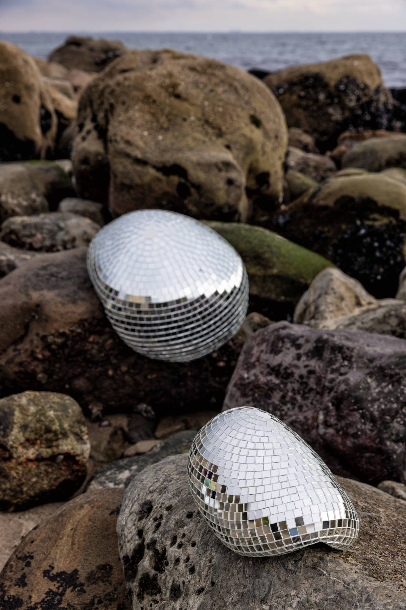 (L) Tiffany Queen, $16,000; (R) Malibu, $2,800 (L) Tiffany Queen, $16,000; (R) Malibu, $2,800