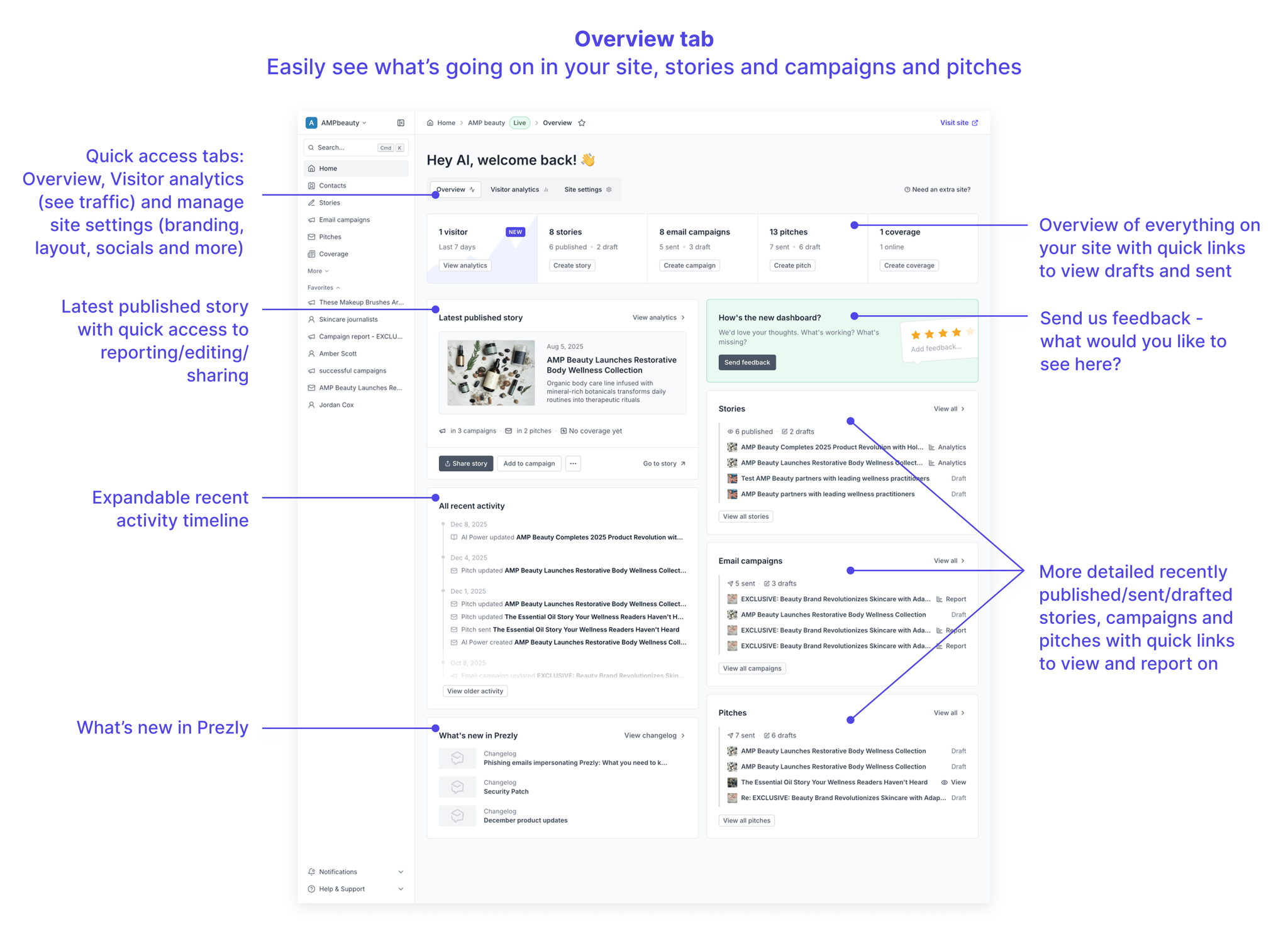 Breakdown of the site overview tab