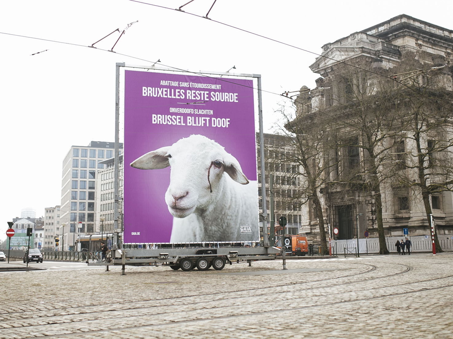 Brussels Animal Welfare Codex reading postponed: GAIA denounces PS's lack of respect for animals and their welfare