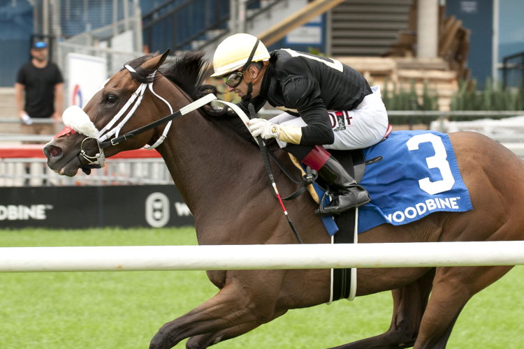 Full Count Felicia and jockey Rafael Hernandez winning the Canadian Stakes (G2) on August 10, 2024 at Woodbine (Michael Burns Photo)