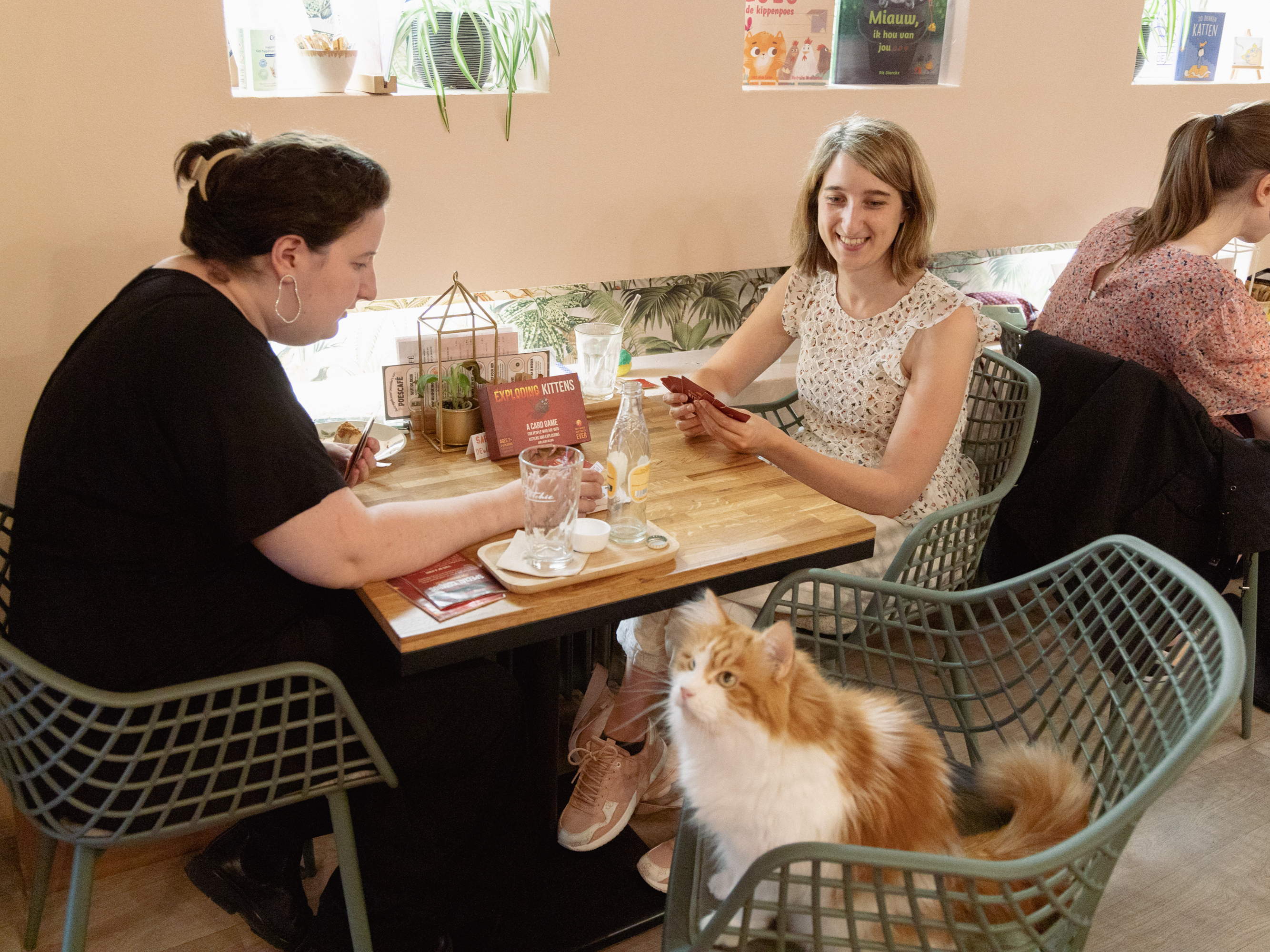 Communiqué et invitation de presse : Le 8 août, pour la Journée mondiale des Chats, Asmodee organise des soirées-jeux dans 9 bars à chats