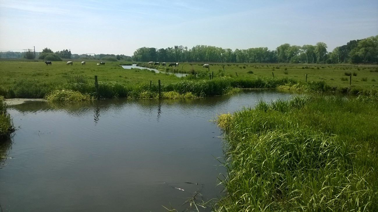 Het Interreg project Fresh4Cs financiert deels het project Kwetshage. Het is een internationaal project waarbij gekeken wordt naar efficiënt gebruik van water in de kustgebieden van de Noordzee.
