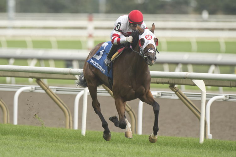 Tito's Calling and jockey Sahin Civaci winning the Wonder Where Stakes on September 10, 2023 at Woodbine (Michael Burns Photo)