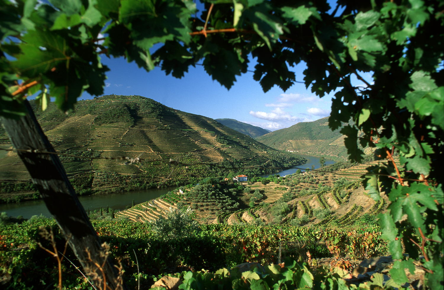 Douro - Credit © RCL RuiCunha