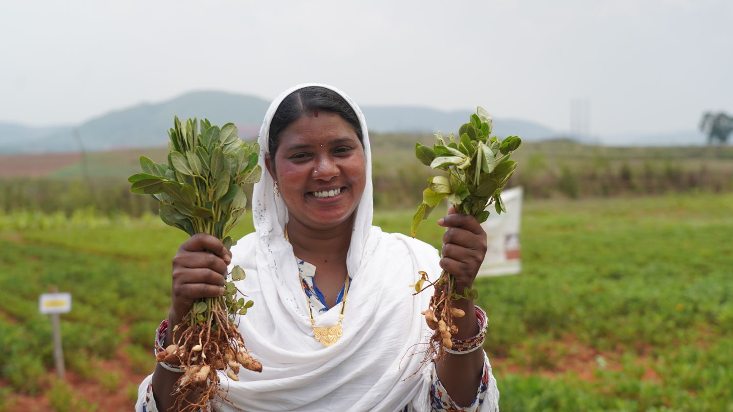 Women farmer with her groundnut harvest.