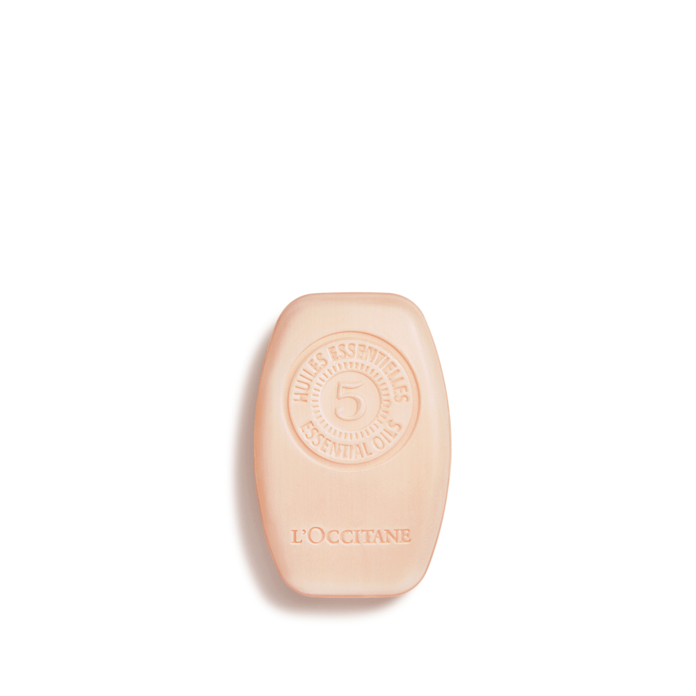 Intens Repair Solid Shampoo
