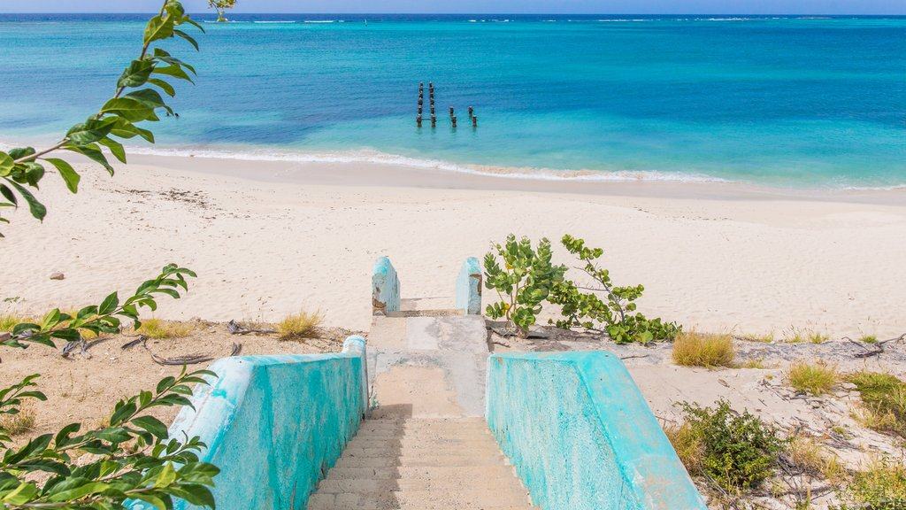 (c) Aruba Tourism Authority