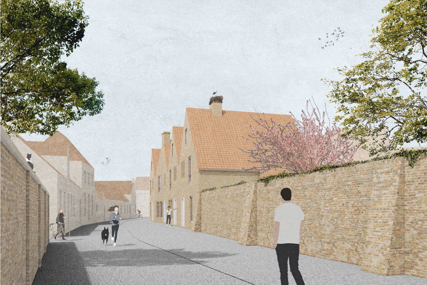Zicht vanop de Burgstraat - ectv architecten & NoArchitecten