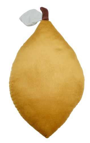 LEMONADE Pillow_25x45cm_9.95EUR