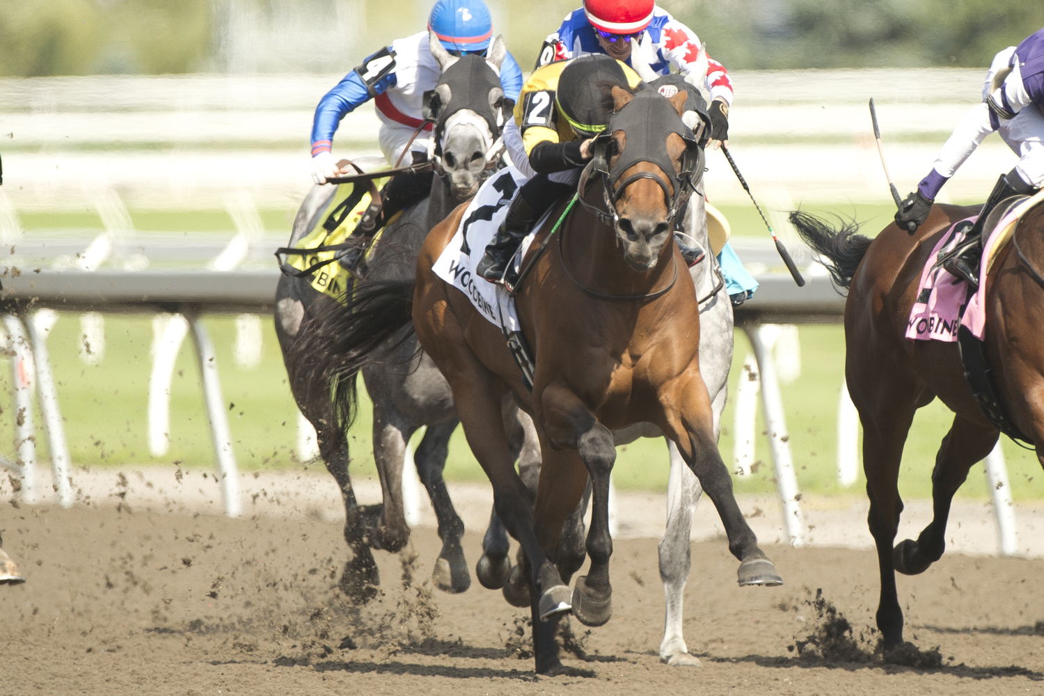 Gal in a Rush and jockey Kazushi Kimura winning the Hendrie Stakes (G3) on July 6, 2024 (Michael Burns Photo)