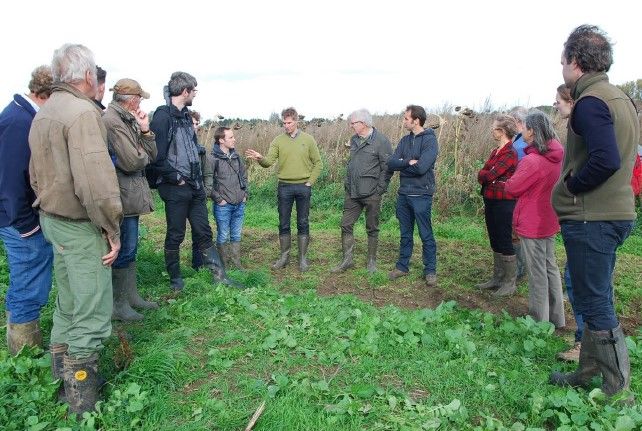 Terreinbezoek met landbouwers in Nederland, 
samen evalueren en discussiëren op het veld (c) Jochem Sloothaak
