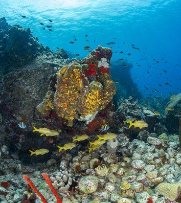File image: Generic OECS Tourism Image 