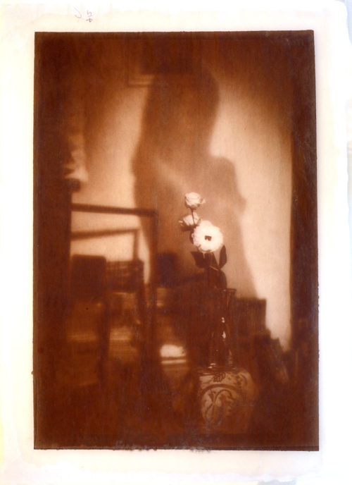 Untitled from Makai