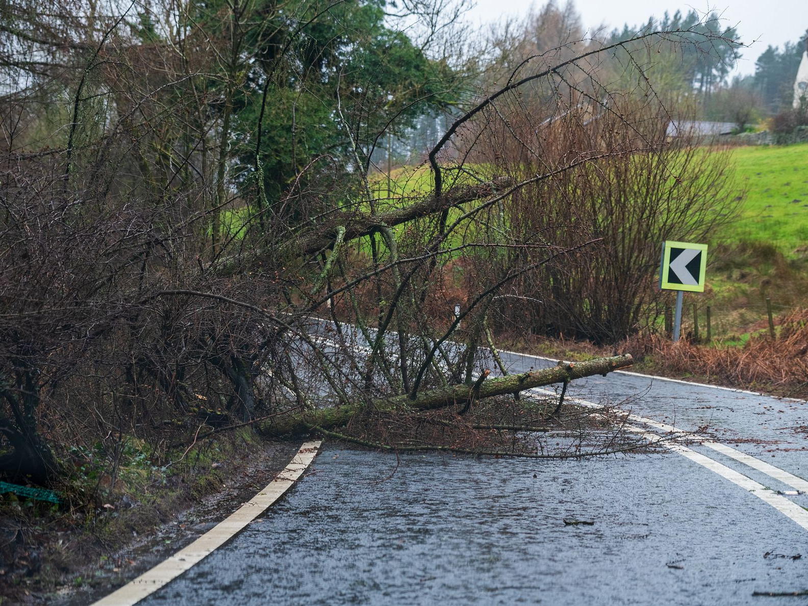 Strong winds and heavy rain set to hit UK as Storm Darragh named - RAC comment 