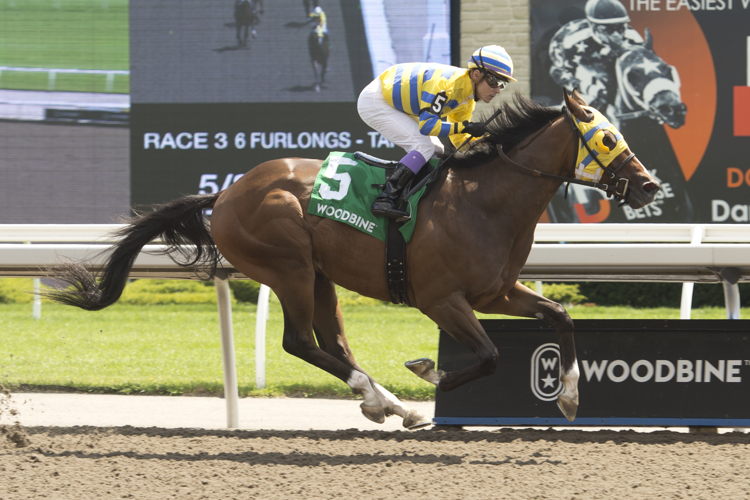 Patches O'Houlihan and jockey Daisuke Fukumoto winning the Lake Superior Stakes on July 30, 2023 at Woodbine (Michael Burns Photo)
