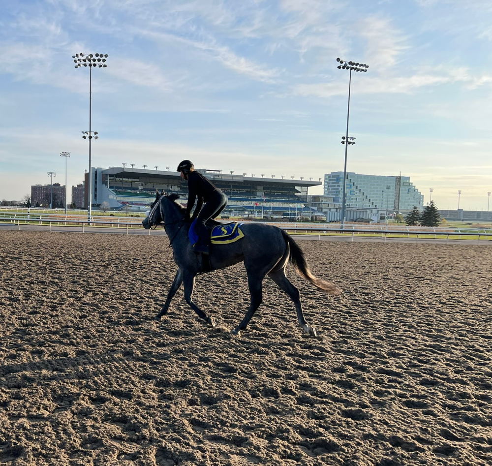 Kavala at Woodbine (photo courtesy of Bill Tharrenos)
