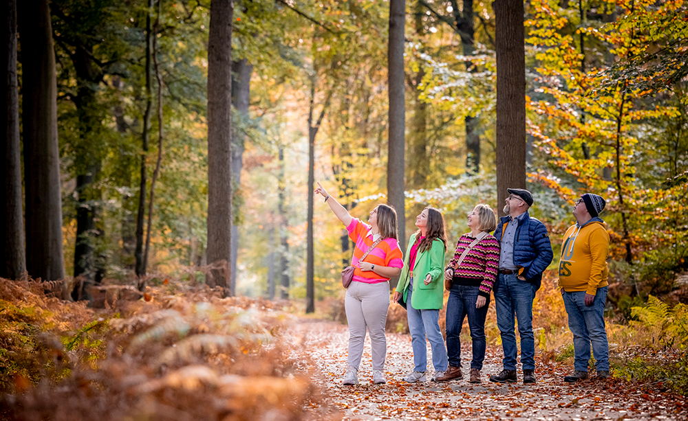 Ontdek de Oost-Vlaamse natuur tijdens de Week van het Bos 