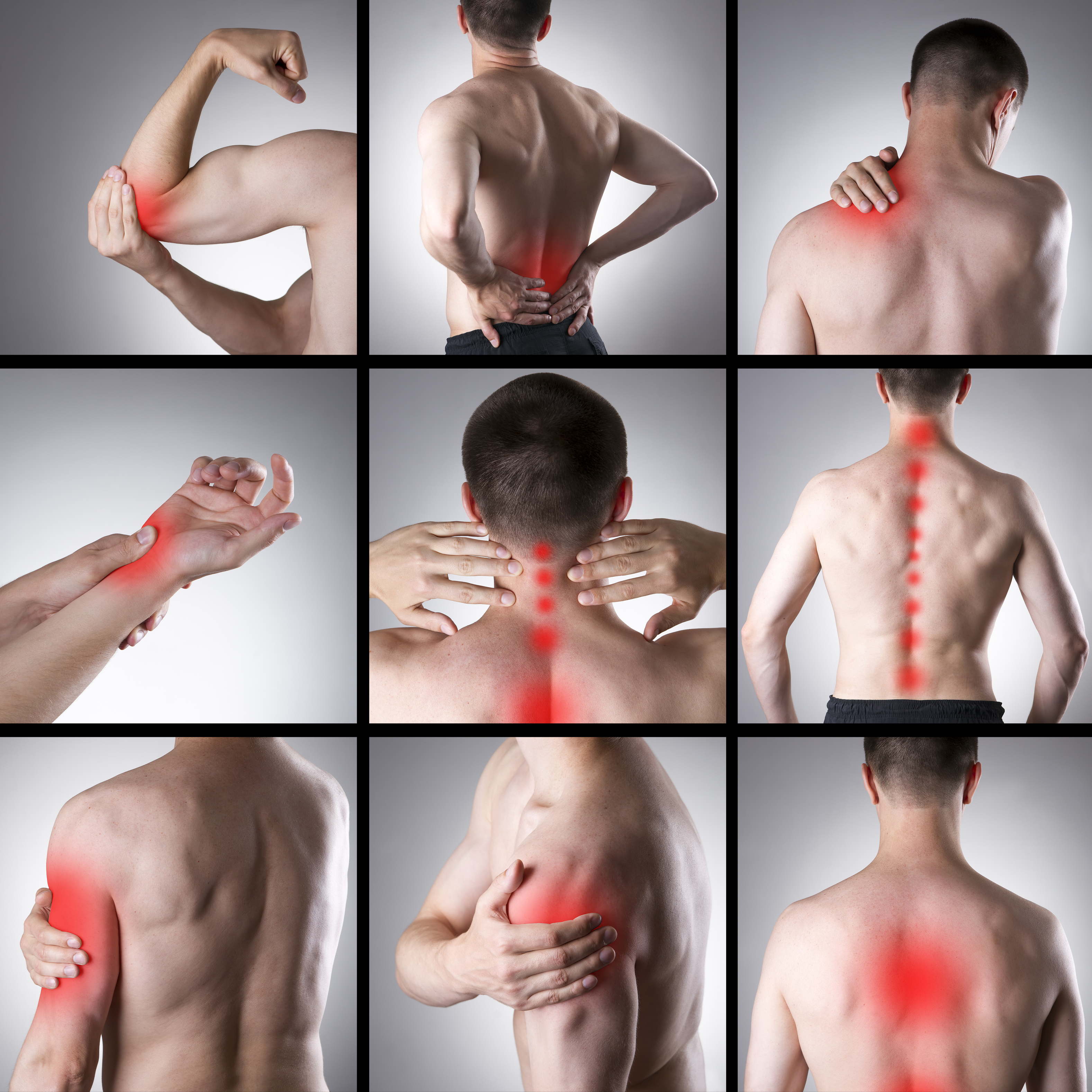 OptiPEA® the pain-relieving natural nutraceutical OptiPEA® the pain-relieving natural nutraceutical