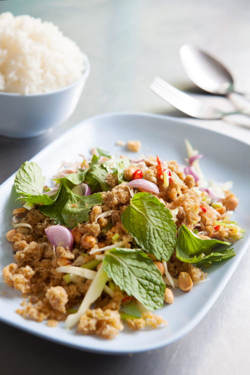YAM PLA DUK FU