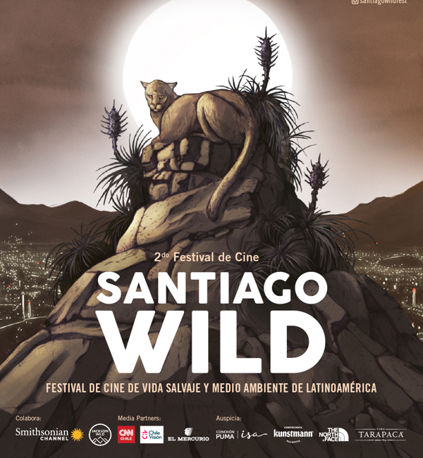 Continúa el 2° Festival de Cine Santiago Wild: “Contrastes” y “Suriname, paraíso perdido”, las películas ganadoras.